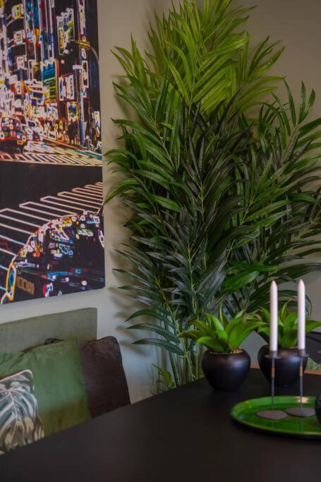 Apartmán Super Anadia - Olive Funchal  Exteriér fotografie