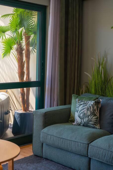 Apartmán Super Anadia - Olive Funchal  Exteriér fotografie